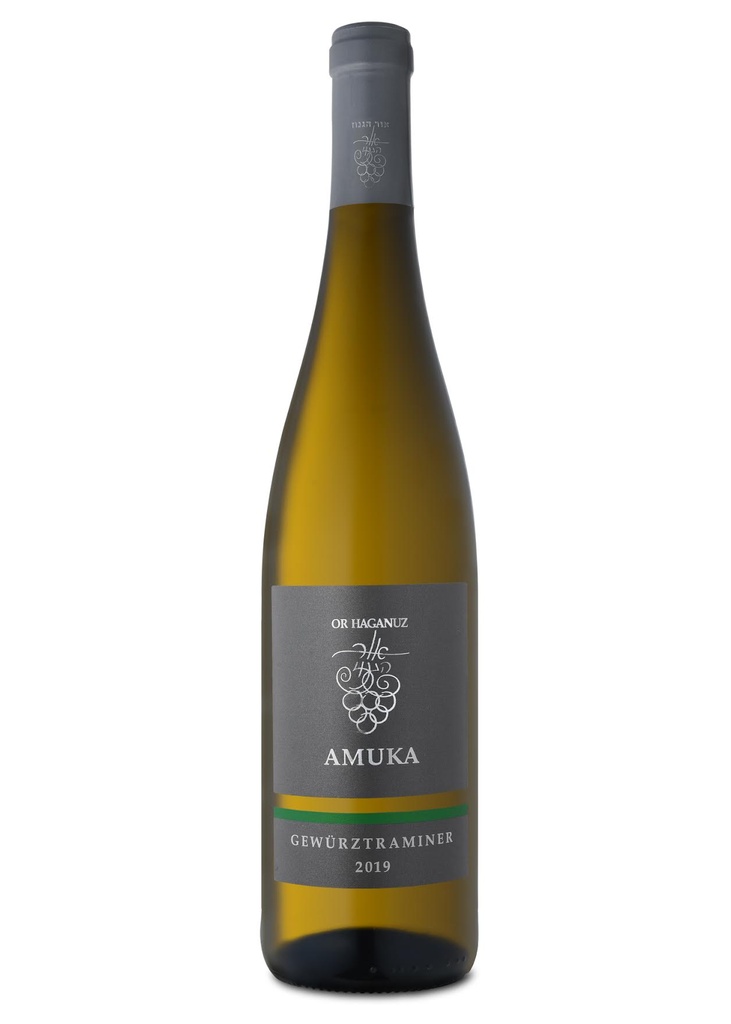 אור הגנוז עמוקה גוורצטרמינר