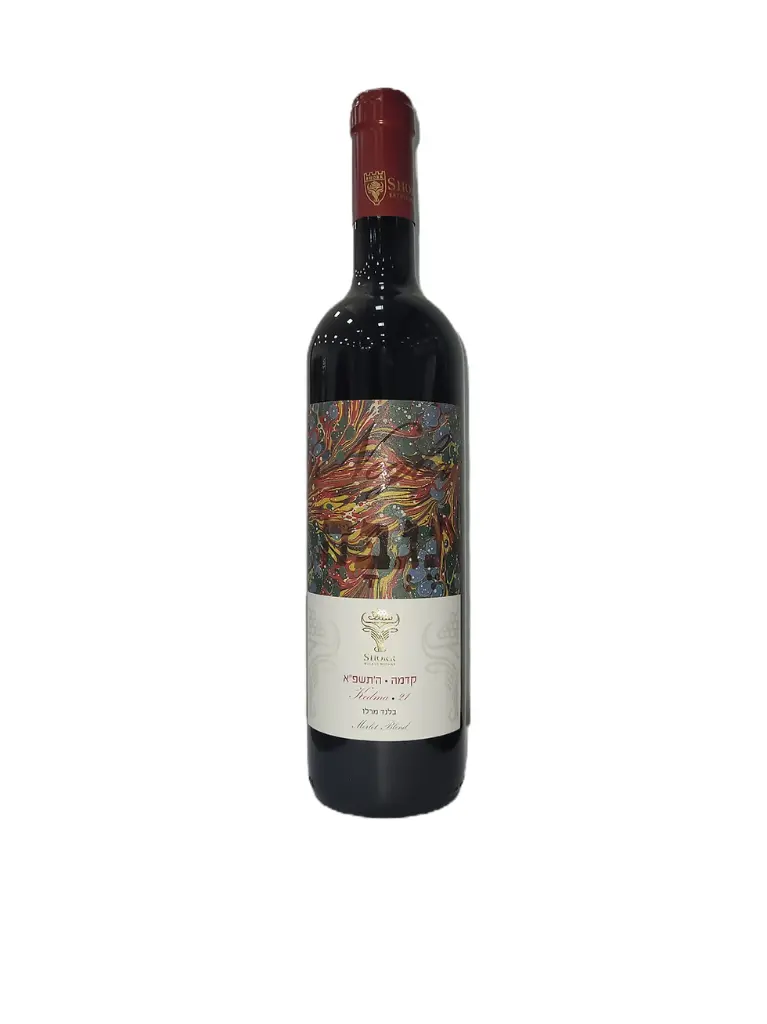 שור נגבה קדמה בלנד מרלו