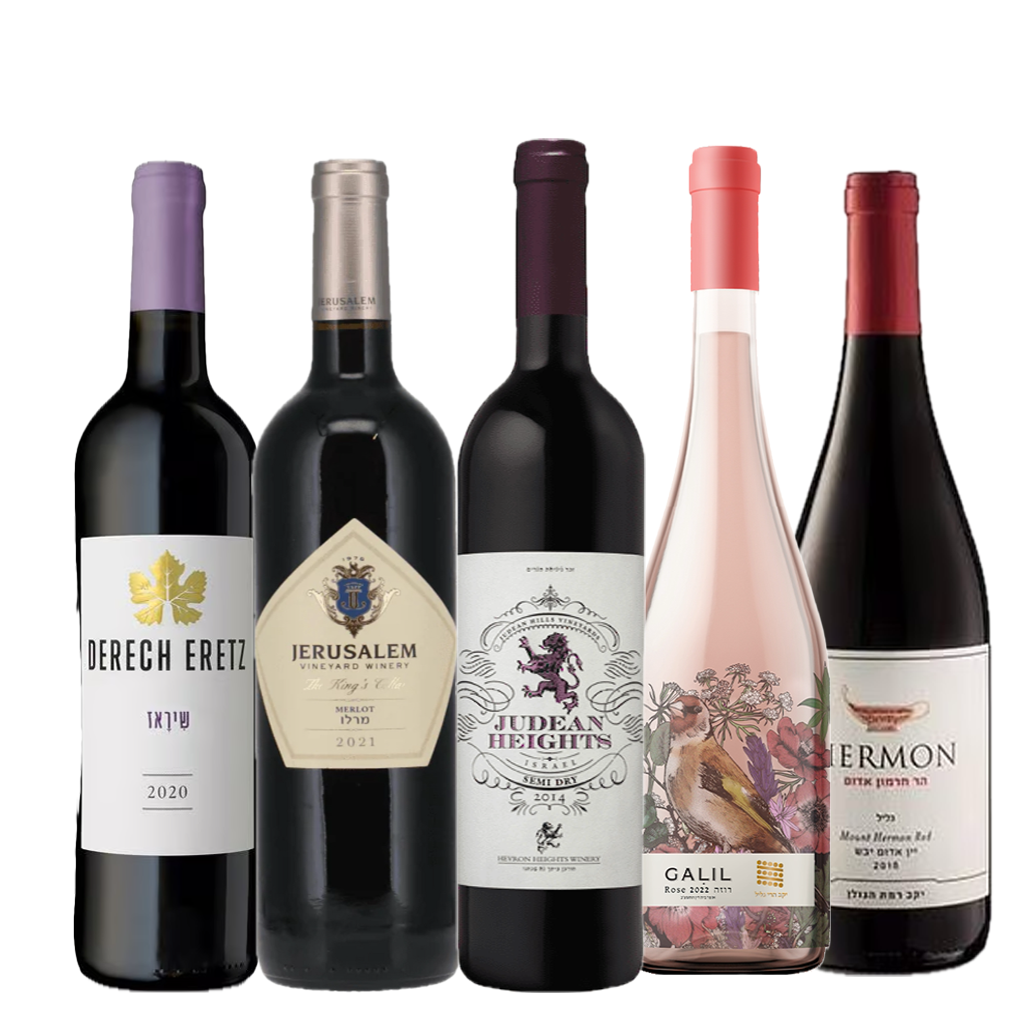 מכרז 6/4/2025 (שני)