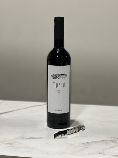 [749460581697] עדי עד