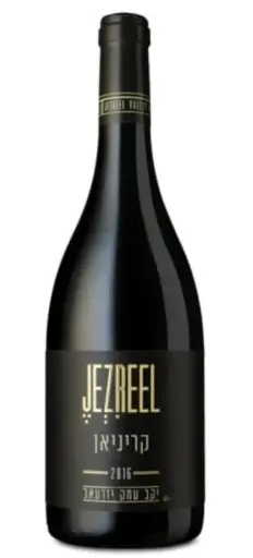 [7290015279741] יזרעאל קריניאן