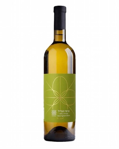 [7290019512264] רקנאטי כרמי הגליל סוביניון בלאן