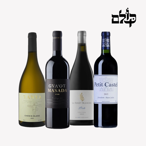 מכרז יין 10/3/25  (שני) 