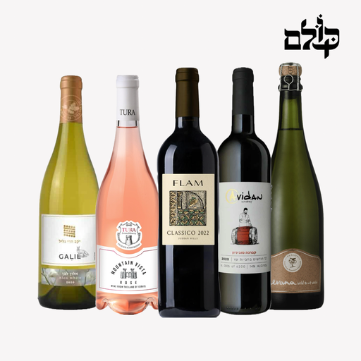 מכרז 7/4/25 (שני)