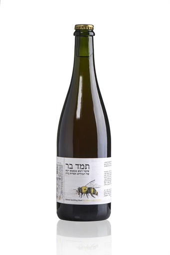 [708210353786] יוליוס תמד בר מבעבע