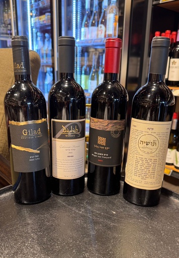 [010102] מכרז 3/9/25